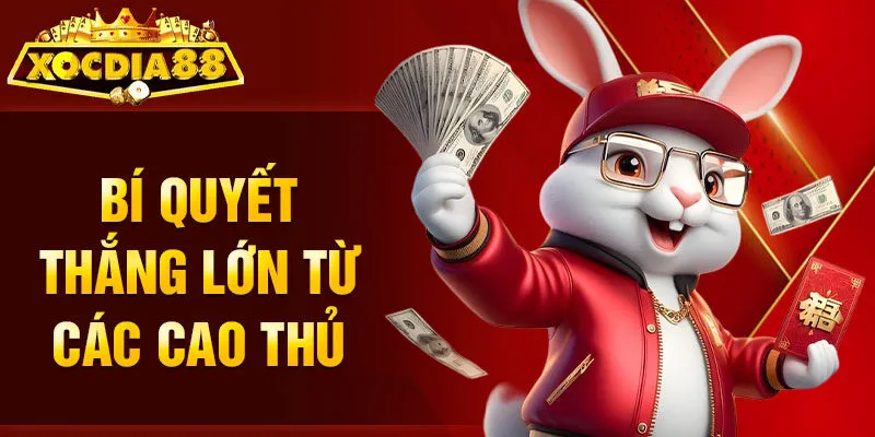 Bí quyết thắng lớn từ các cao thủ