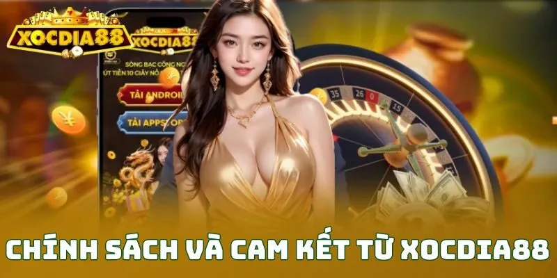 Chính sách và cam kết từ XOCDIA88